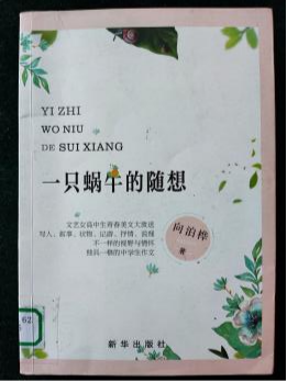 图片13.png